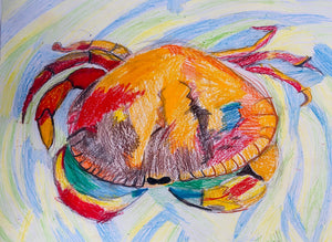 ArtyBees Monday Class 6-11yrs Apr 22 to July 1, 2024
