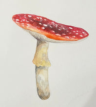 Drink and Draw, Paint a fungi, adults art class. Nov 12th, 8-9.45pm