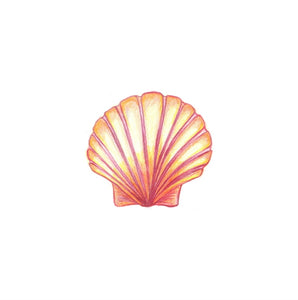 Scallop Shell greetings card