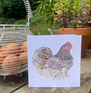 Chocolate Chicken greetings card